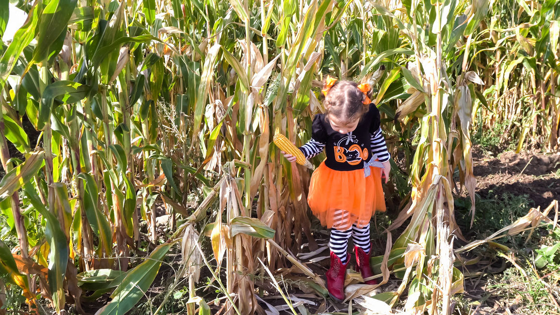 Boo! Get in the Halloween Spirit with Fun Events Near Our Saskatoon Hotel