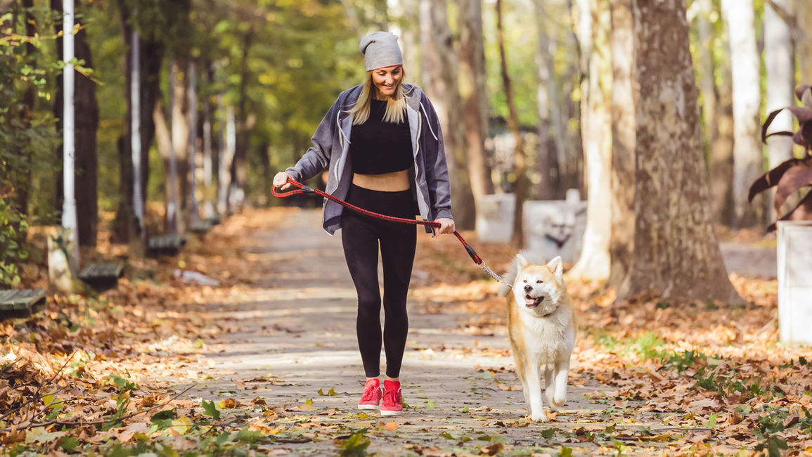 Enjoy These Dog Adventures from Your Pet Friendly Hotels in Saskatoon