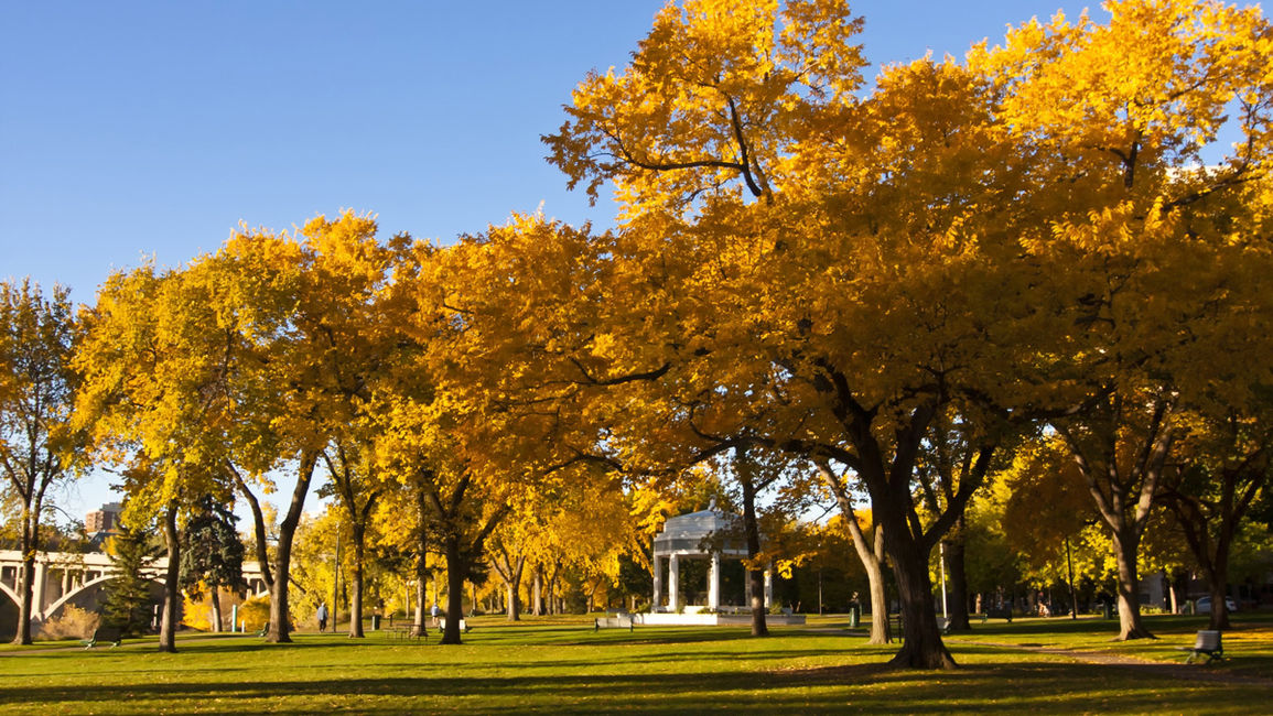 Take a Walk Through Saskatoon's Past and Present